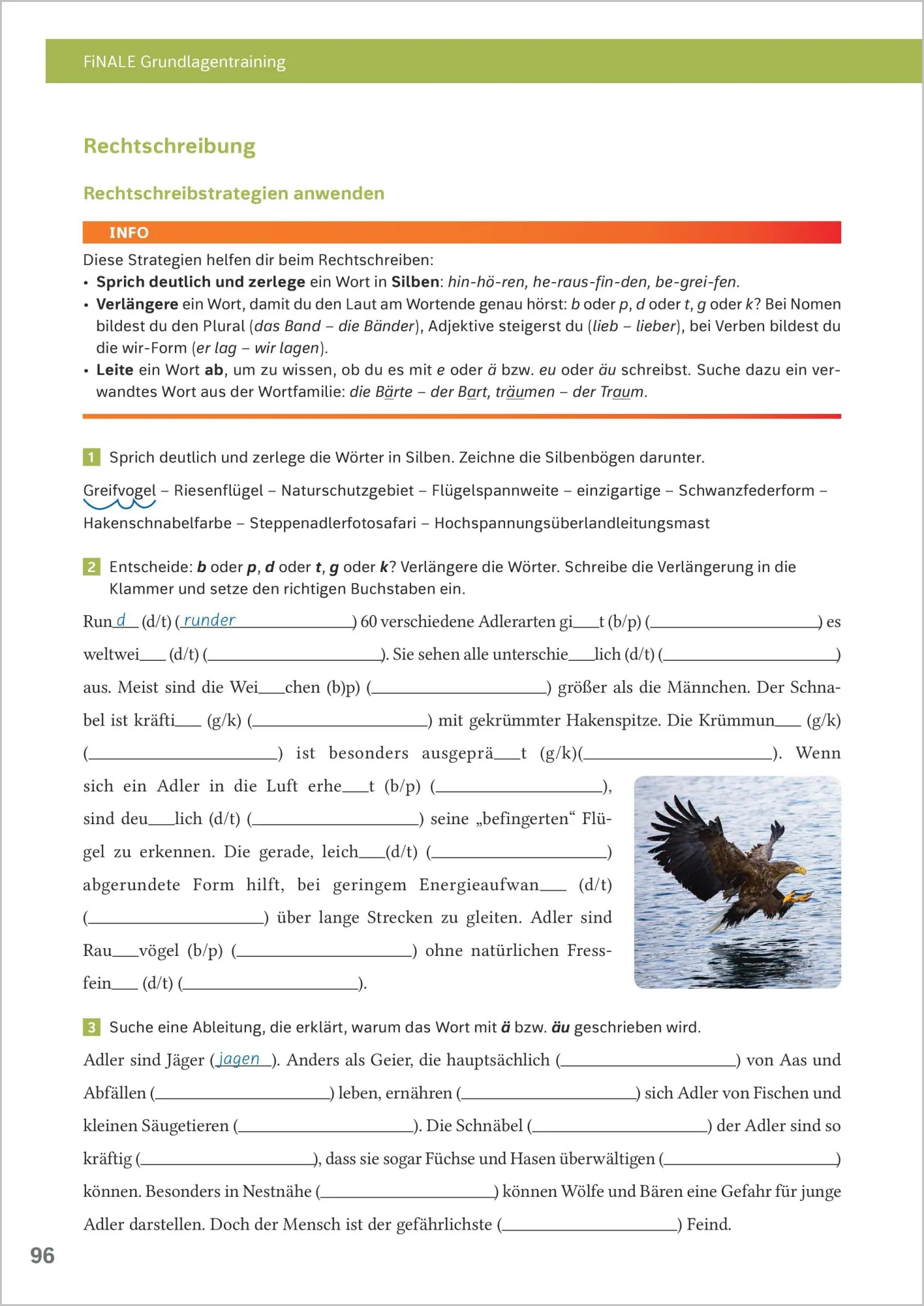 Bild: 9783071725508 | FiNALE Prüfungstraining - Hauptschulabschluss, Mittlerer...