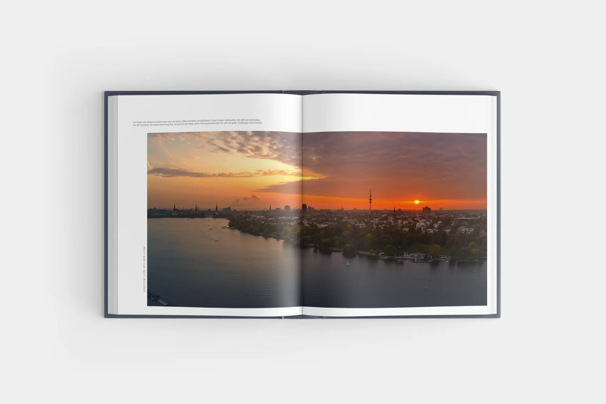 Bild: 9783960605508 | Der Hamburger | Das Buch der Stadt | Matthias Plander | Buch | 244 S.