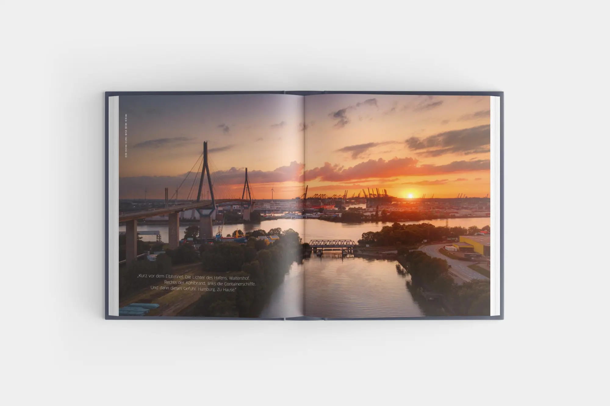 Bild: 9783960605508 | Der Hamburger | Das Buch der Stadt | Matthias Plander | Buch | 244 S.