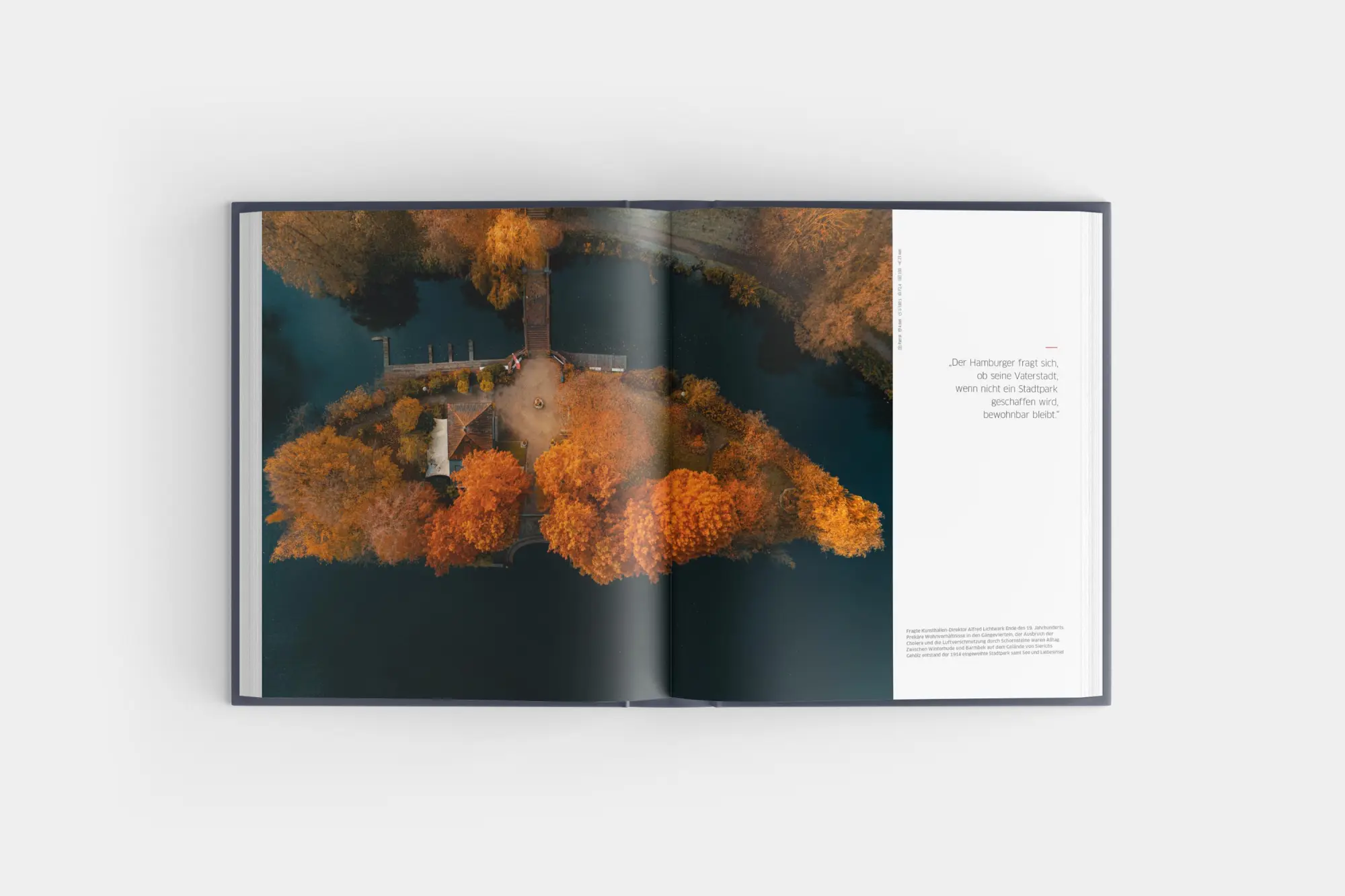 Bild: 9783960605508 | Der Hamburger | Das Buch der Stadt | Matthias Plander | Buch | 244 S.