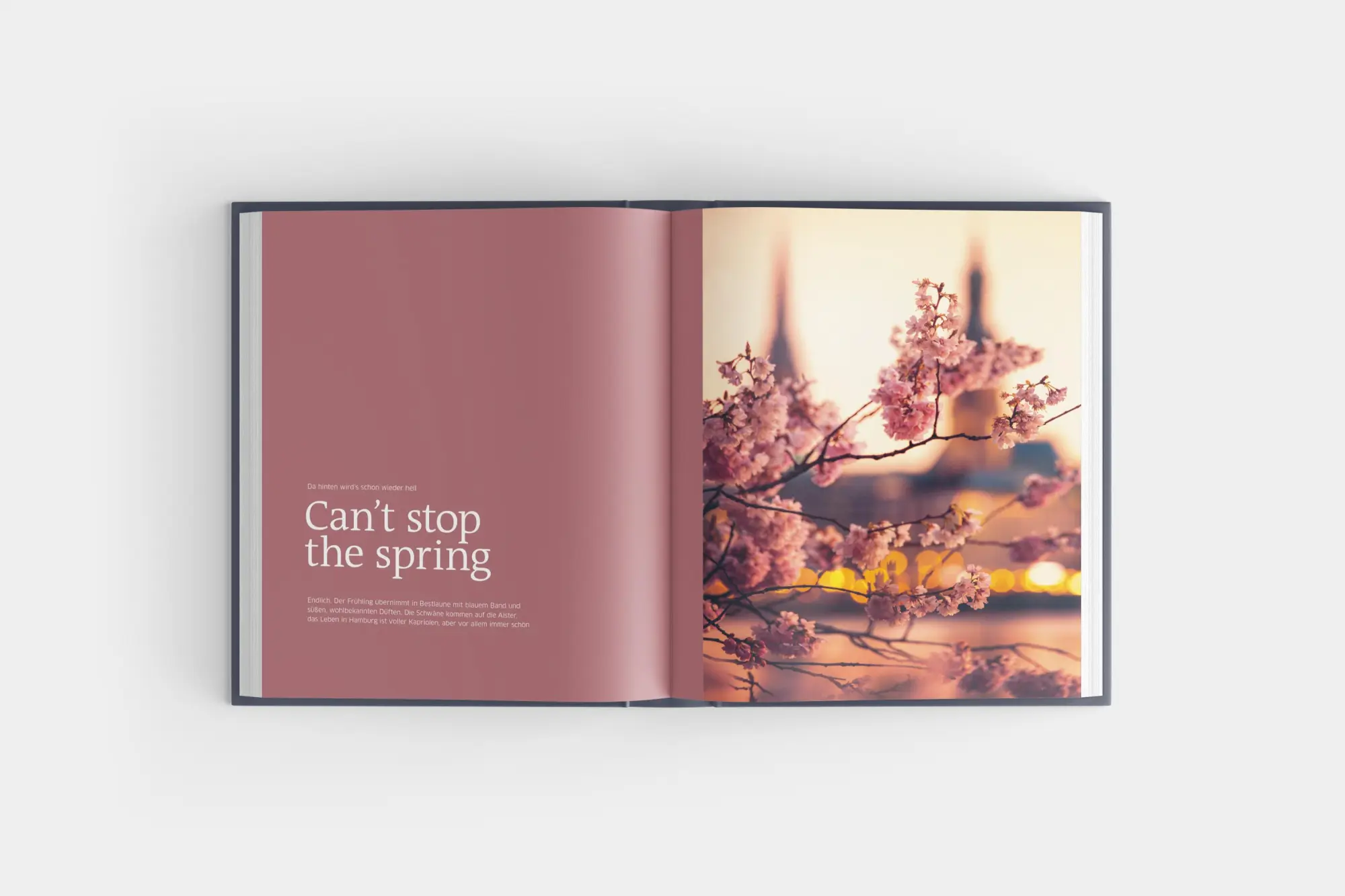 Bild: 9783960605508 | Der Hamburger | Das Buch der Stadt | Matthias Plander | Buch | 244 S.