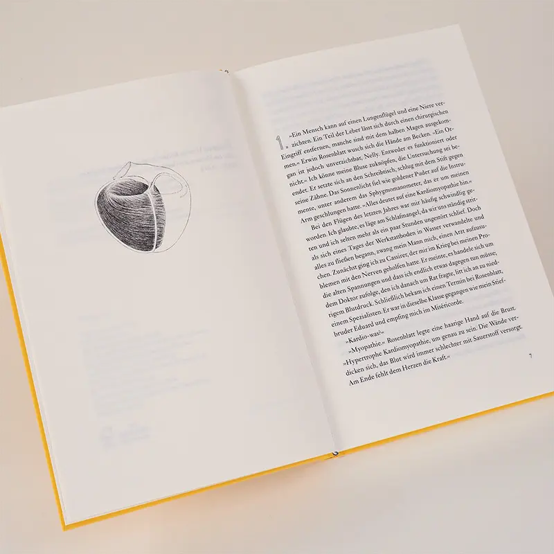 Bild: 9783446265608 | Nelly B.s Herz | Roman | Aris Fioretos | Buch | 336 S. | Deutsch
