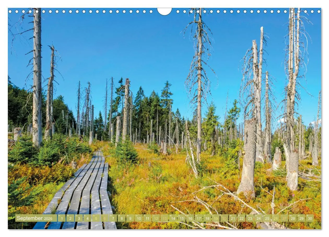 Bild: 9783457465608 | Arber, Rachel und Lusen: Der Hintere Bayerische Wald (Wandkalender...