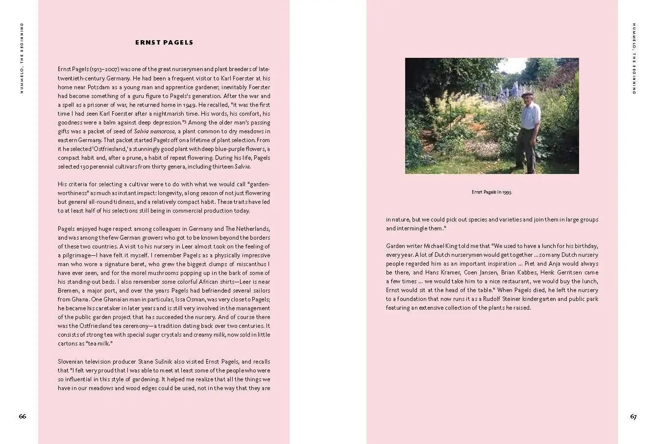 Bild: 9781580935708 | Hummelo | A Journey Through a Plantsman's Life | Piet Oudolf (u. a.)