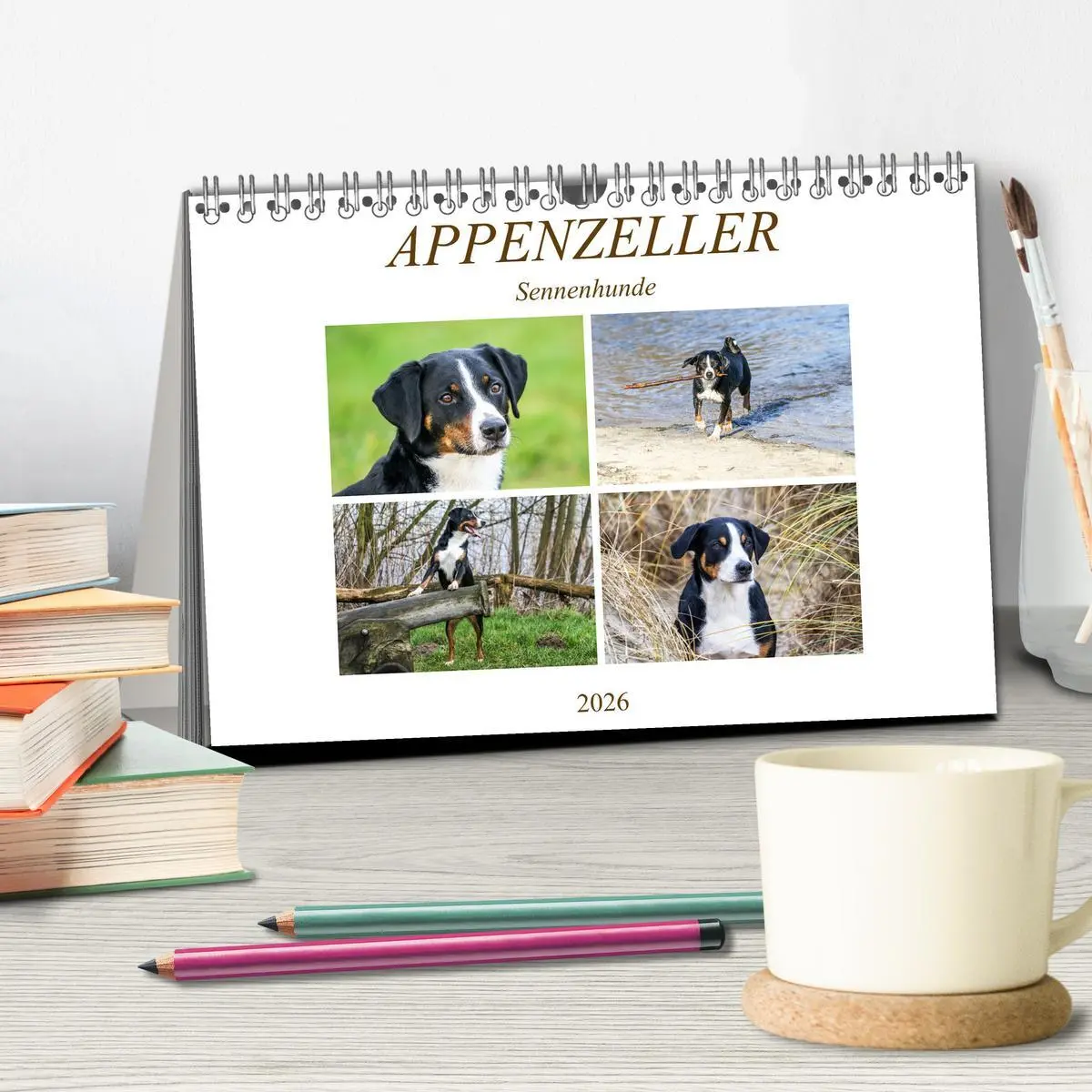 Bild: 9783457835708 | Appenzeller Sennenhunde (Tischkalender 2026 DIN A5 quer), CALVENDO...