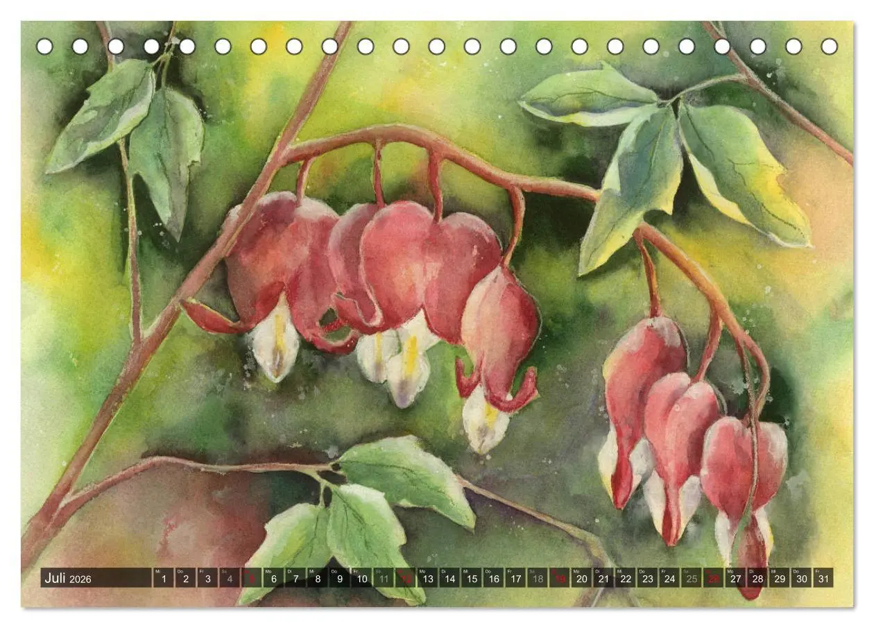 Bild: 9783457905708 | Garten Aquarelle (Tischkalender 2026 DIN A5 quer), CALVENDO...