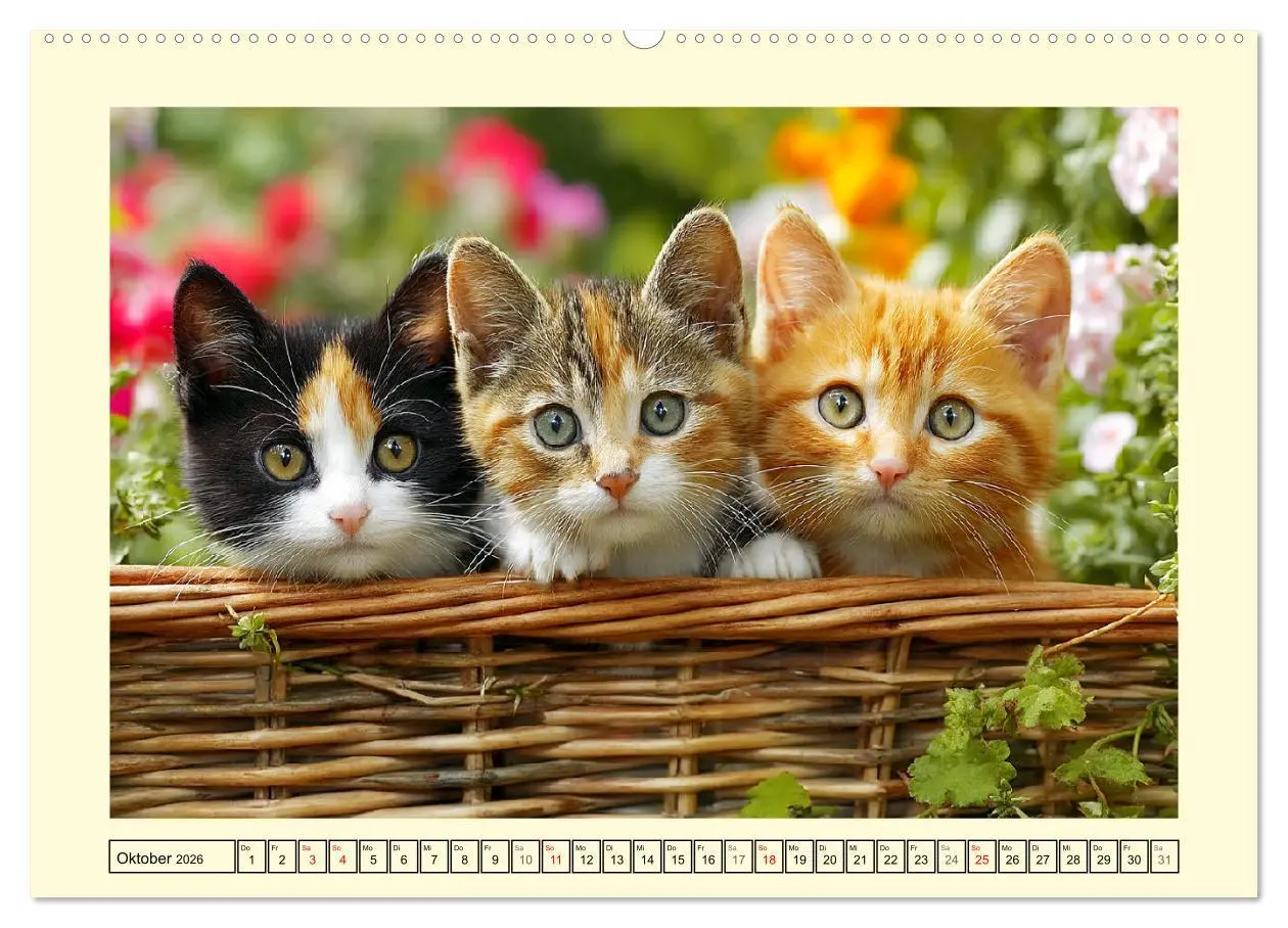 Bild: 9783516095708 | Geliebte Katzen. Unsere zauberhaften Hauskatzen im Garten...