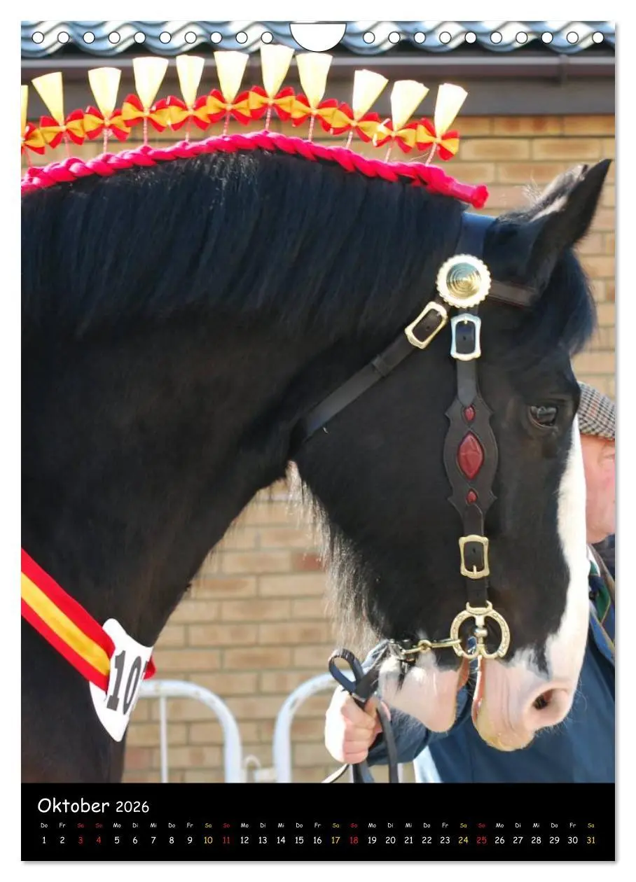 Bild: 9783516475708 | Shire Horse - Geschmückte Riesen (Wandkalender 2026 DIN A4 hoch),...