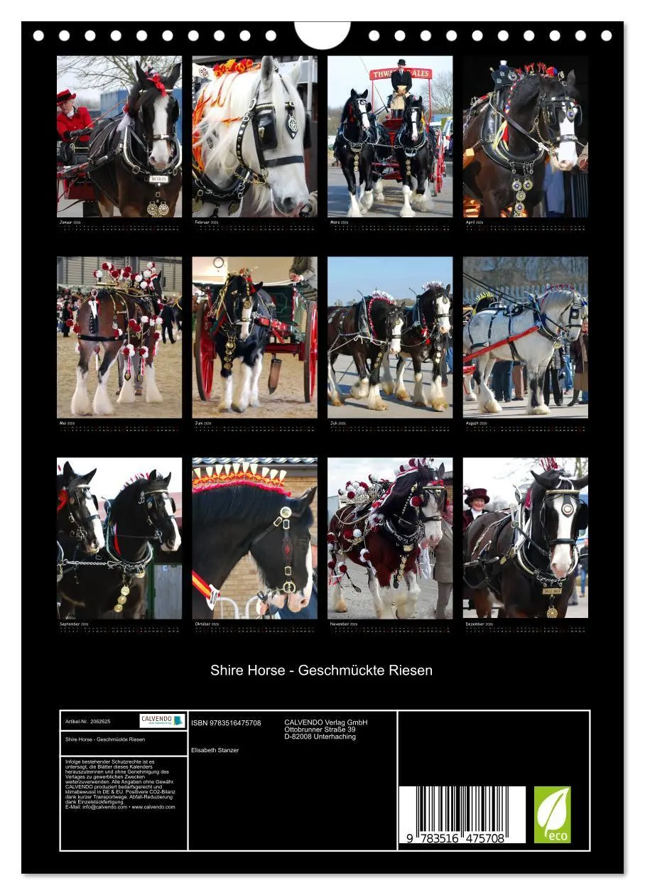 Bild: 9783516475708 | Shire Horse - Geschmückte Riesen (Wandkalender 2026 DIN A4 hoch),...