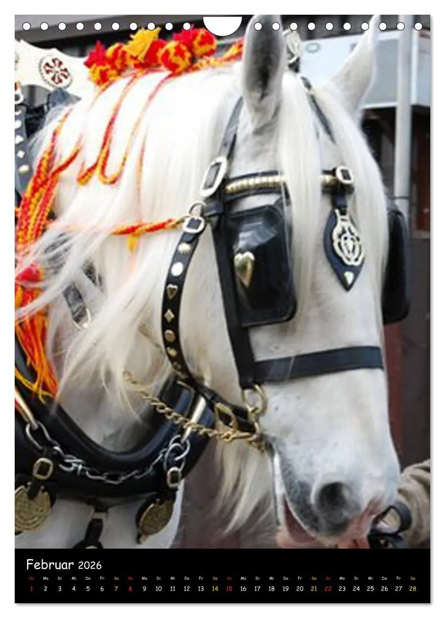 Bild: 9783516475708 | Shire Horse - Geschmückte Riesen (Wandkalender 2026 DIN A4 hoch),...