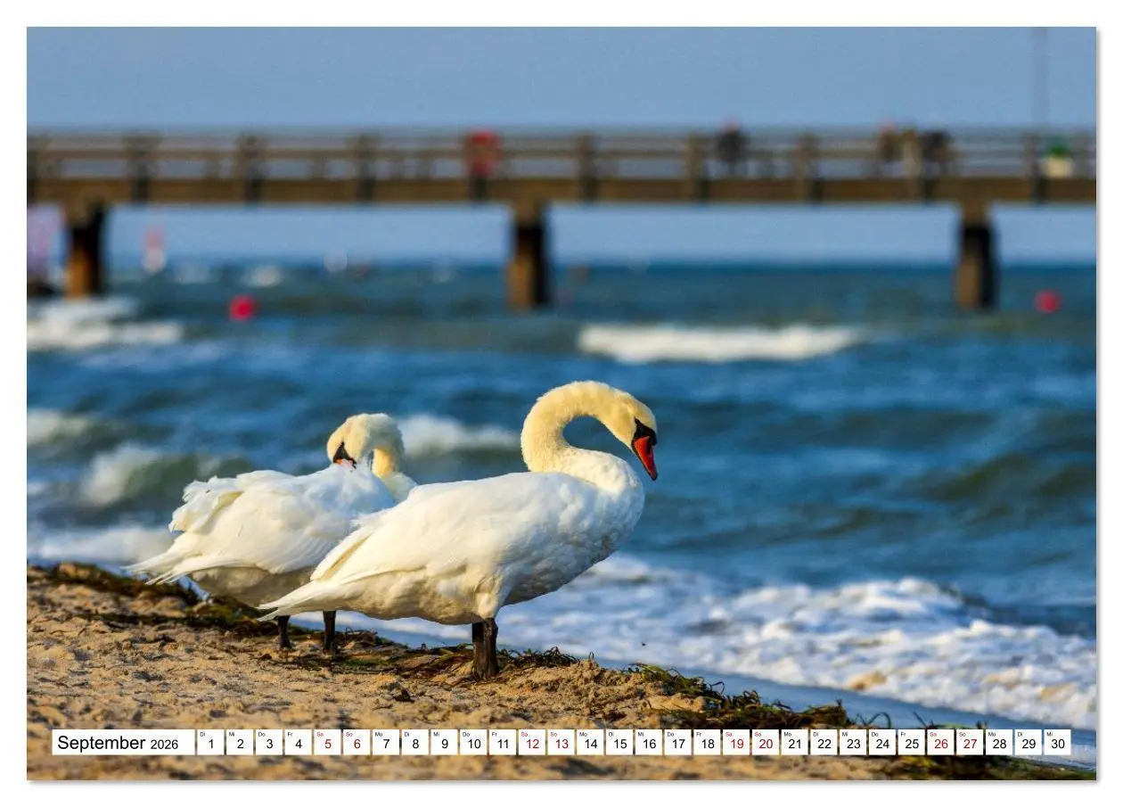 Bild: 9783516615708 | Travemünde - Wo das Meer atmet (Tischkalender 2026 DIN A5 quer),...