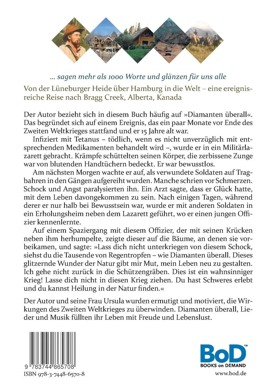 Rückseite: 9783744865708 | Diamanten überall | Siegfried Beckedorf | Taschenbuch | 152 S. | 2017