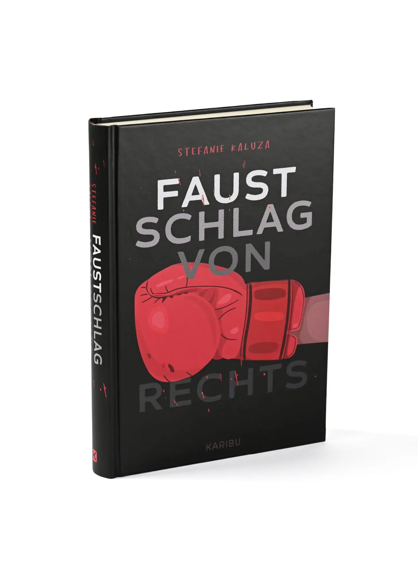 Bild: 9783961295708 | Faustschlag von rechts | Stefanie Kaluza | Buch | 224 S. | Deutsch