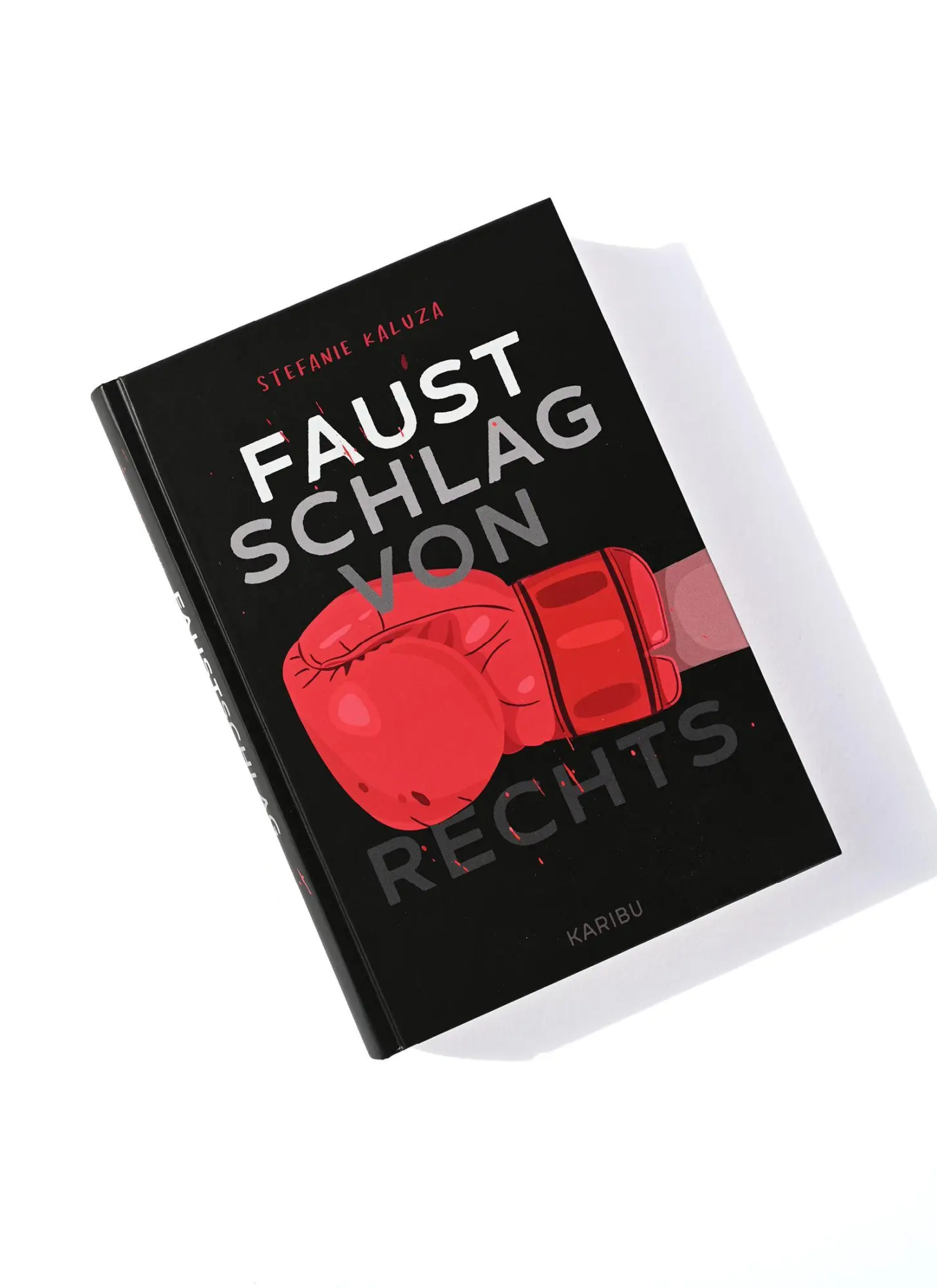 Bild: 9783961295708 | Faustschlag von rechts | Stefanie Kaluza | Buch | 224 S. | Deutsch