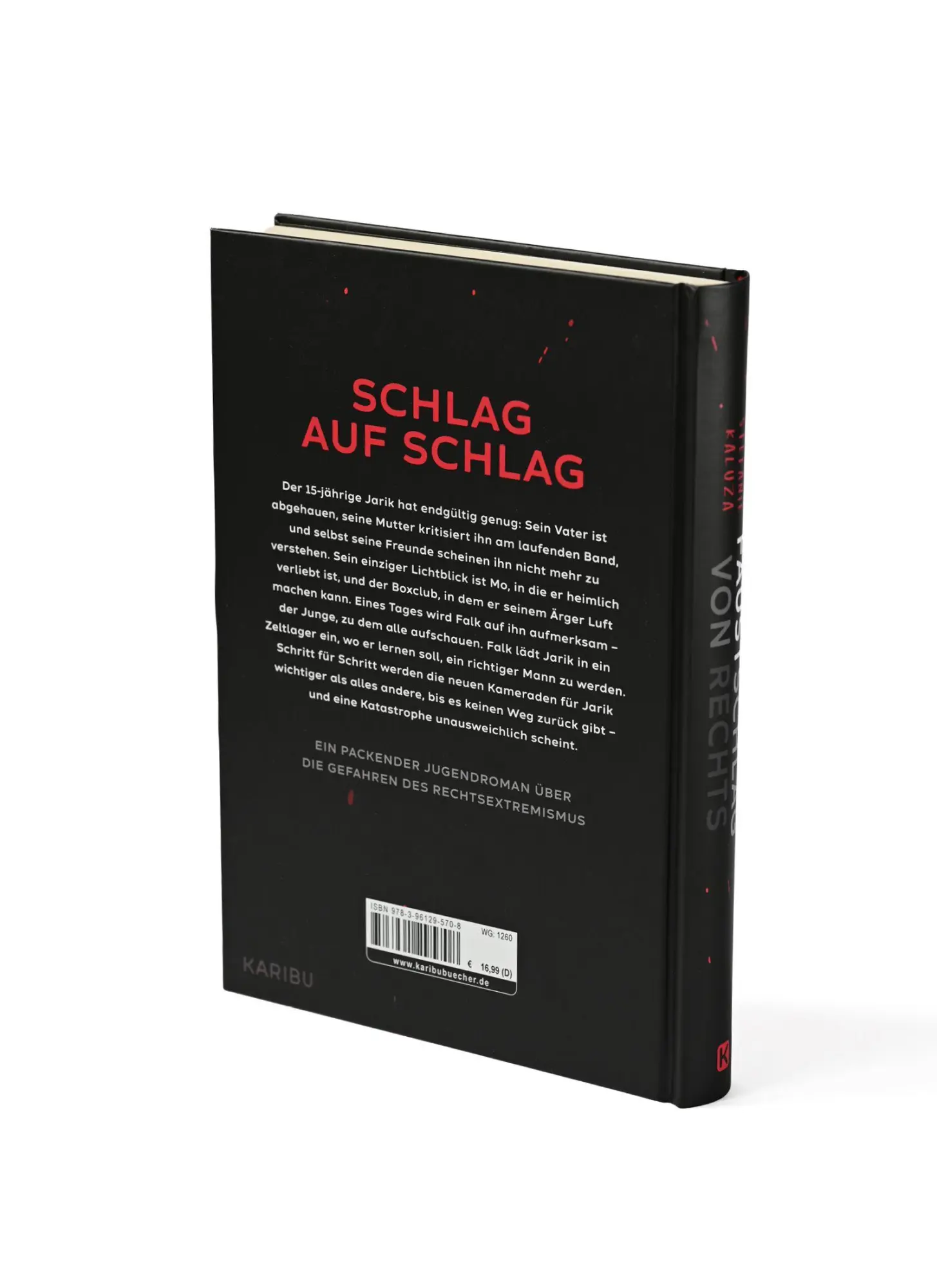 Bild: 9783961295708 | Faustschlag von rechts | Stefanie Kaluza | Buch | 224 S. | Deutsch