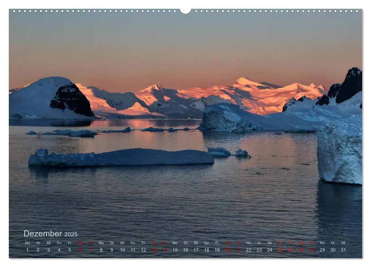 Bild: 9783435285808 | Antarktis, die eisige Heimat der Pinguine (Wandkalender 2025 DIN A2...