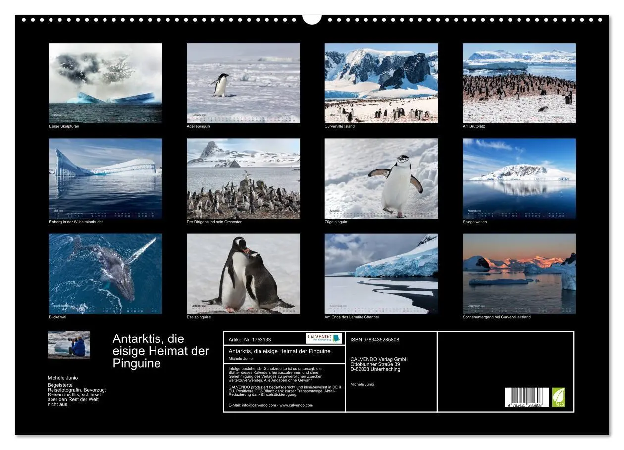 Bild: 9783435285808 | Antarktis, die eisige Heimat der Pinguine (Wandkalender 2025 DIN A2...