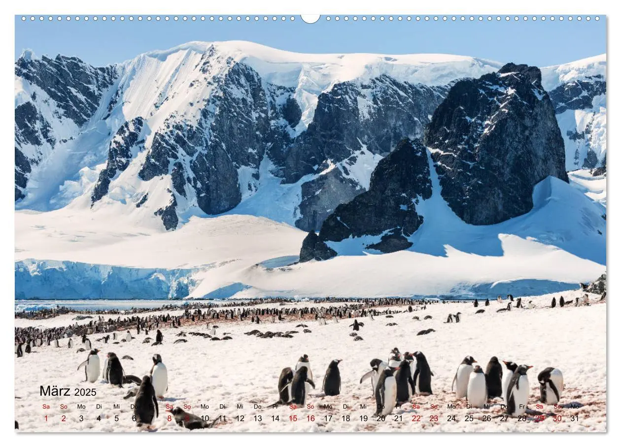 Bild: 9783435285808 | Antarktis, die eisige Heimat der Pinguine (Wandkalender 2025 DIN A2...