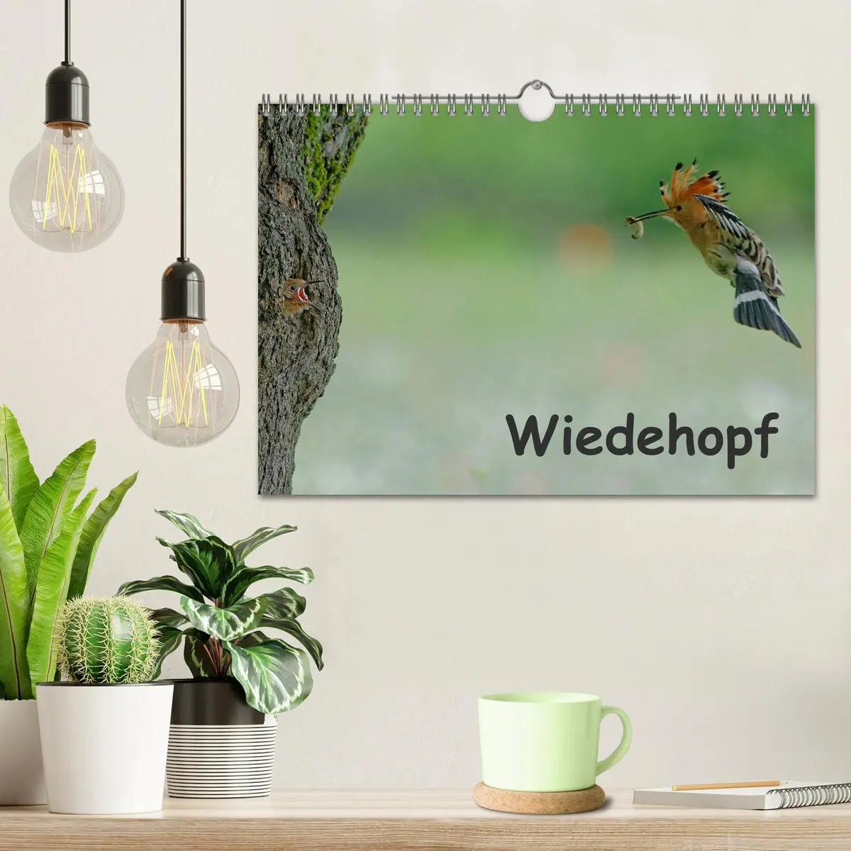 Bild: 9783457995808 | Wiedehopf (Wandkalender 2026 DIN A4 quer), CALVENDO Monatskalender