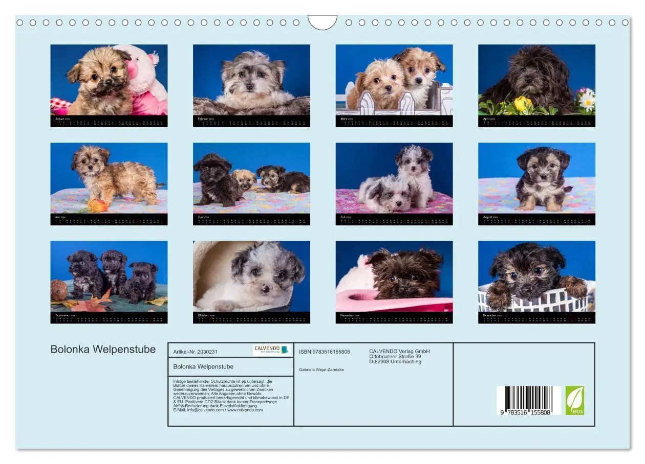 Bild: 9783516155808 | Bolonka Welpenstube (Wandkalender 2026 DIN A3 quer), CALVENDO...