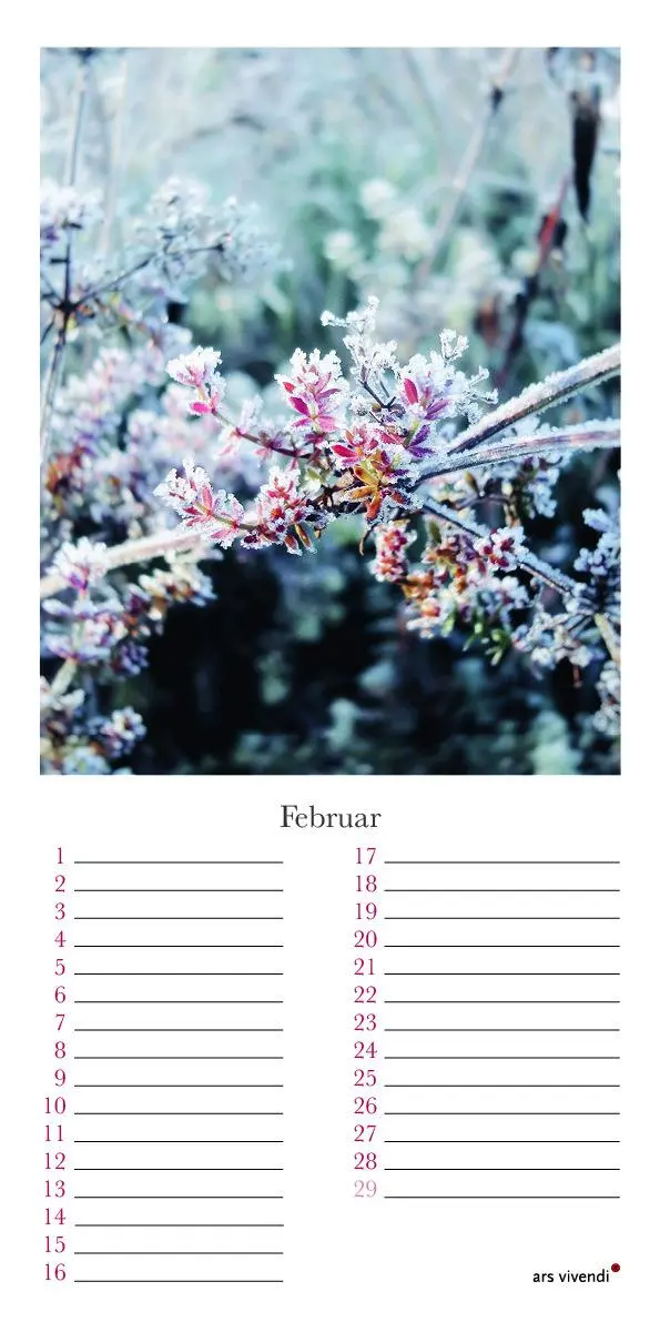 Bild: 9783747205808 | Geburtstagskalender Garten | Kalender | 12 S. | Deutsch | Ars Vivendi