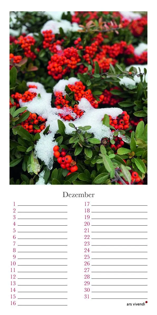 Bild: 9783747205808 | Geburtstagskalender Garten | Kalender | 12 S. | Deutsch | Ars Vivendi