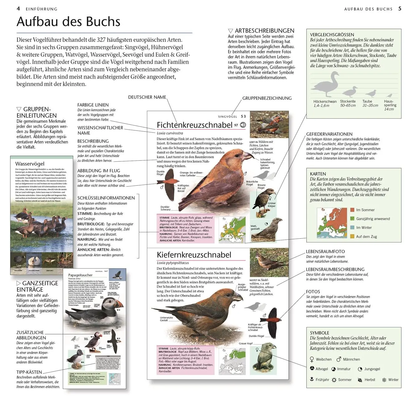 Bild: 9783831045808 | Vögel | 300 Arten entdecken &amp; bestimmen. Mit Vogelstimmen-Download