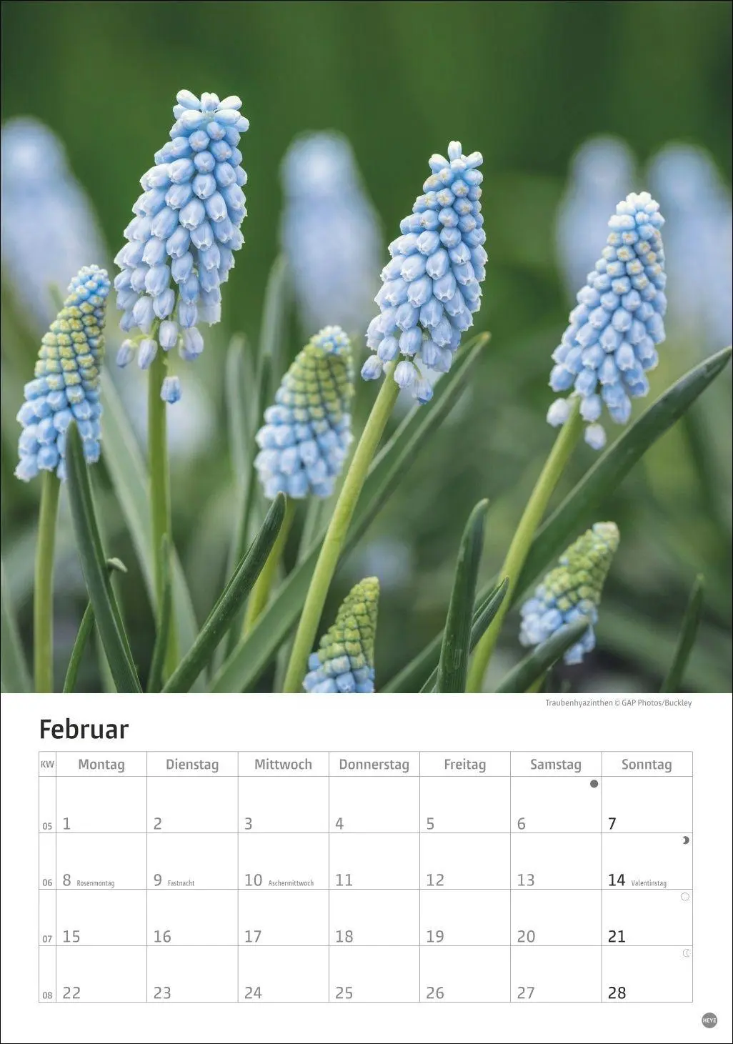 Bild: 9783756415908 | Gartenzauber Kalender 2027 | Heye | Kalender | Spiralbindung | 13 S.