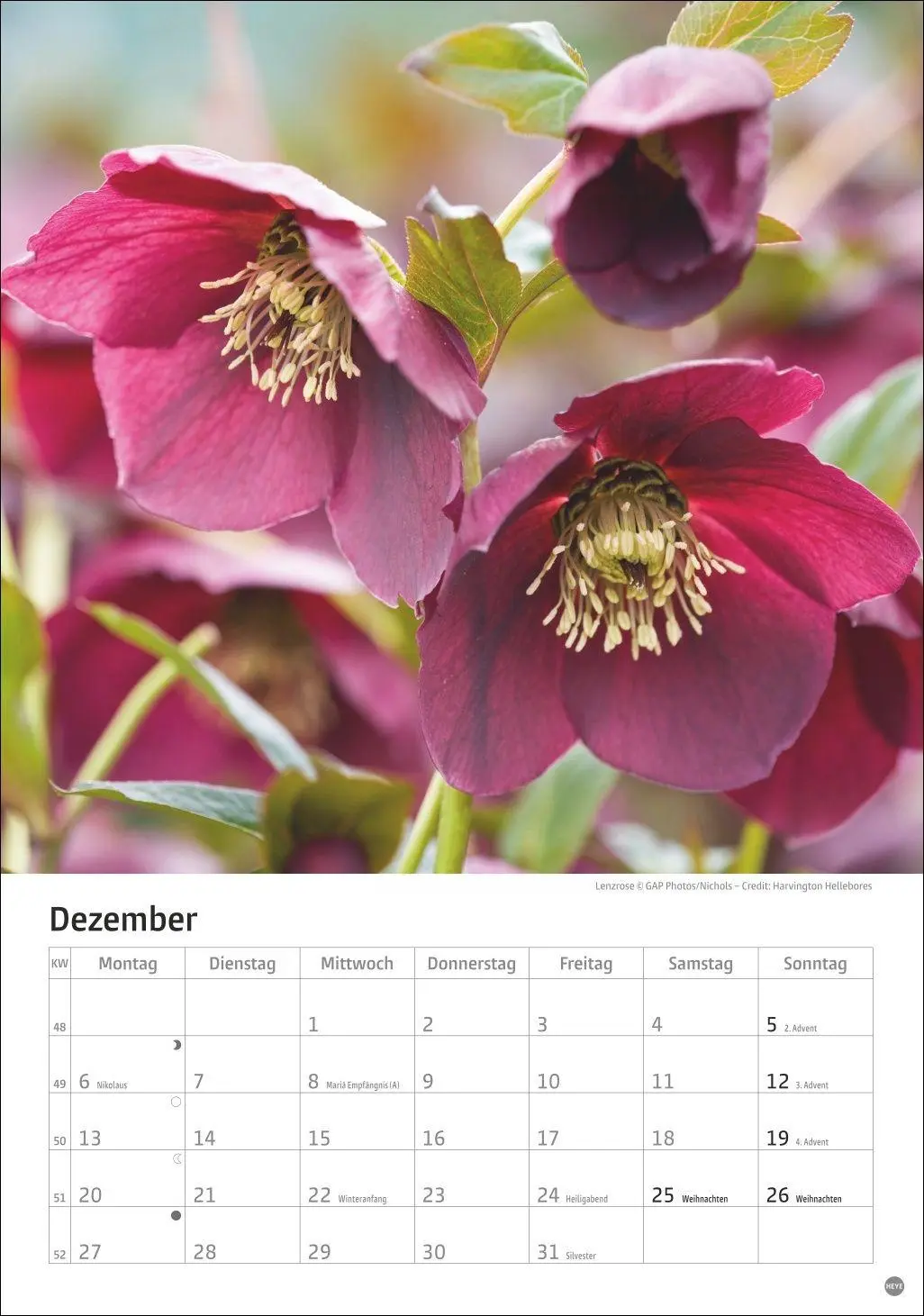 Bild: 9783756415908 | Gartenzauber Kalender 2027 | Heye | Kalender | Spiralbindung | 13 S.