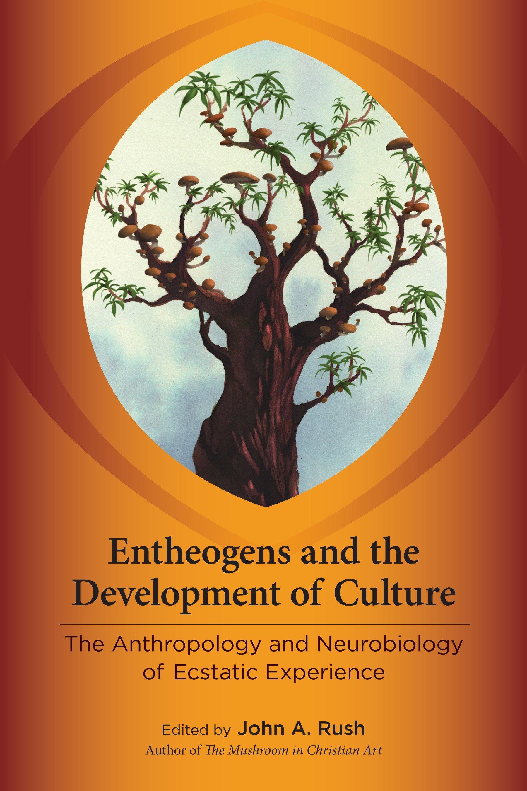 Entheogens and the Development of Culture | The Anthropology and Neurobiology of Ecstatic Experience | John Rush | Taschenbuch | Einband - flex.(Paperback) | Englisch | 2013 | EAN 9781583946008 - Rush, John