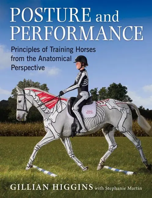 Cover: 9781910016008 | Posture and Performance | Gillian Higgins (u. a.) | Buch | Gebunden