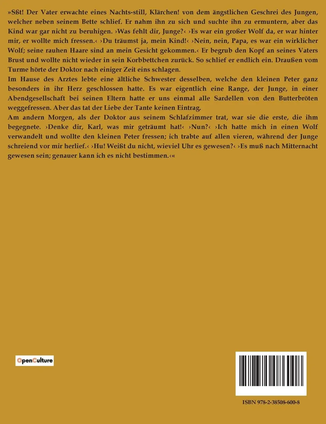 Rückseite: 9782385086008 | Am Kamin | Theodor Storm | Taschenbuch | Paperback | 24 S. | Deutsch
