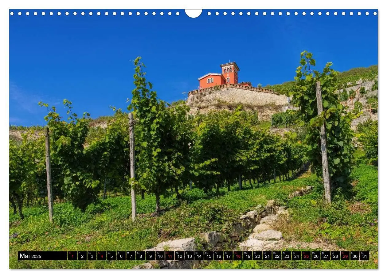 Bild: 9783435546008 | Freyburg - Die Perle im Unstruttal (Wandkalender 2025 DIN A3 quer),...