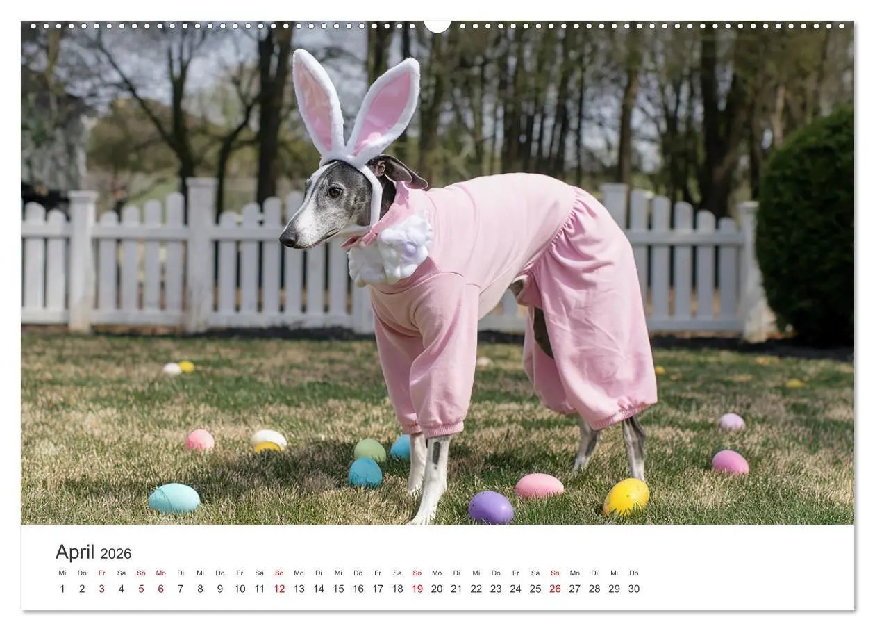 Bild: 9783457256008 | Funny Greyhounds - Windhunde mal anders (hochwertiger Premium...