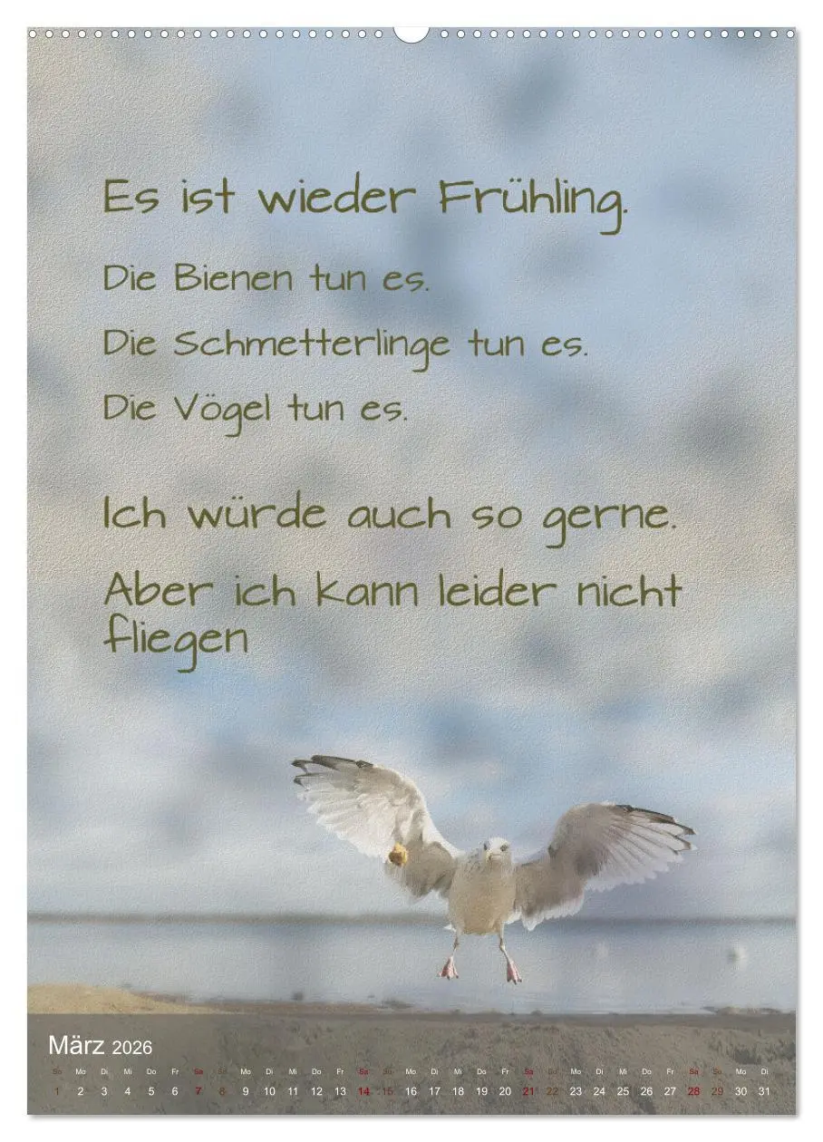 Bild: 9783516346008 | Heute ist ein guter Tag (hochwertiger Premium Wandkalender 2026 DIN...