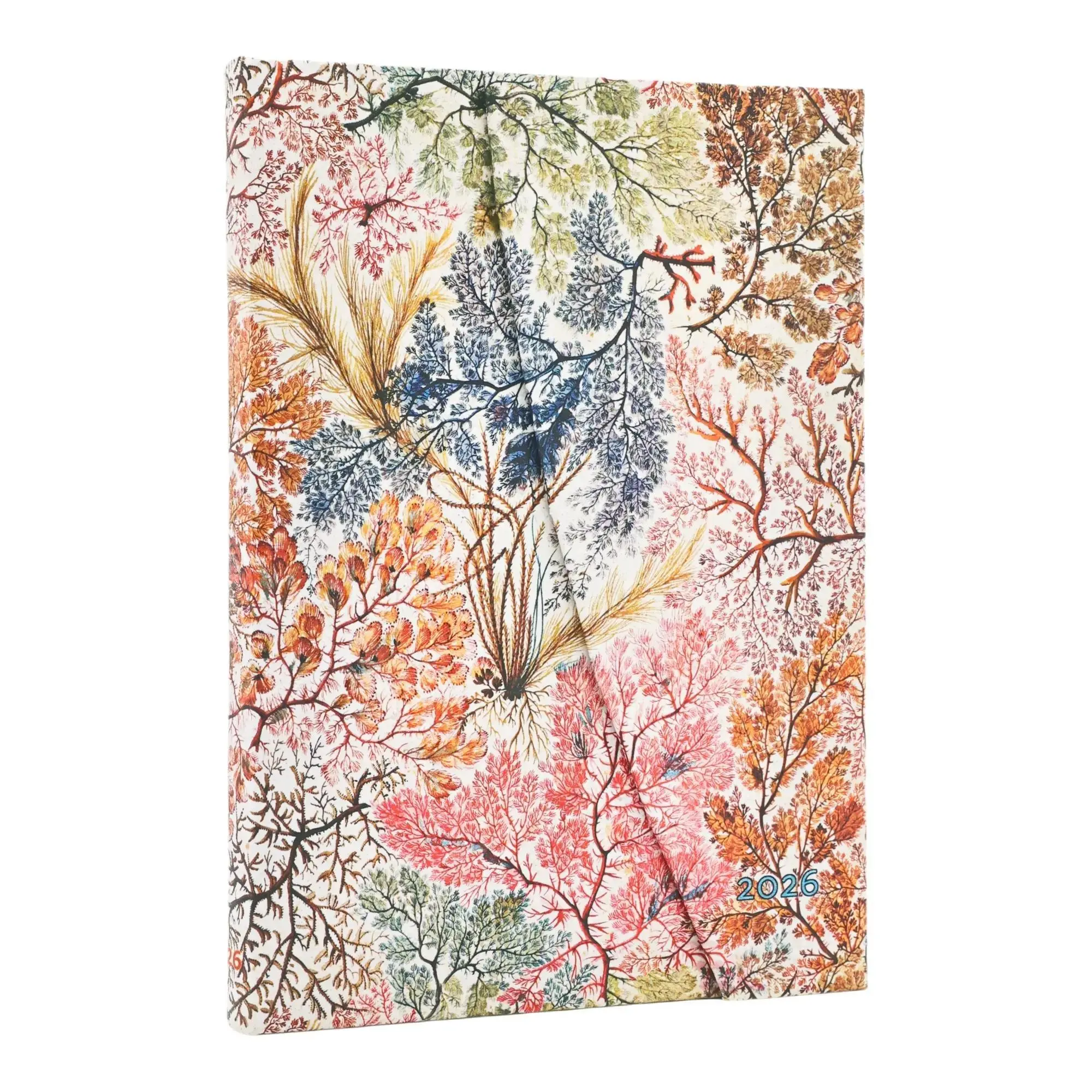 Cover: 9780349706108 | 12-Monatskalender. 2026 Anemone Midi Verso | Paperblanks | Buch | 2026