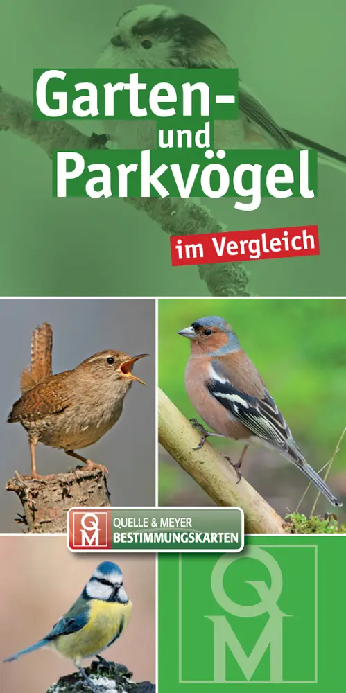 Cover: 9783494016108 | Garten- und Parkvögel im Vergleich, Bestimmungskarten | Buch | 8 S.