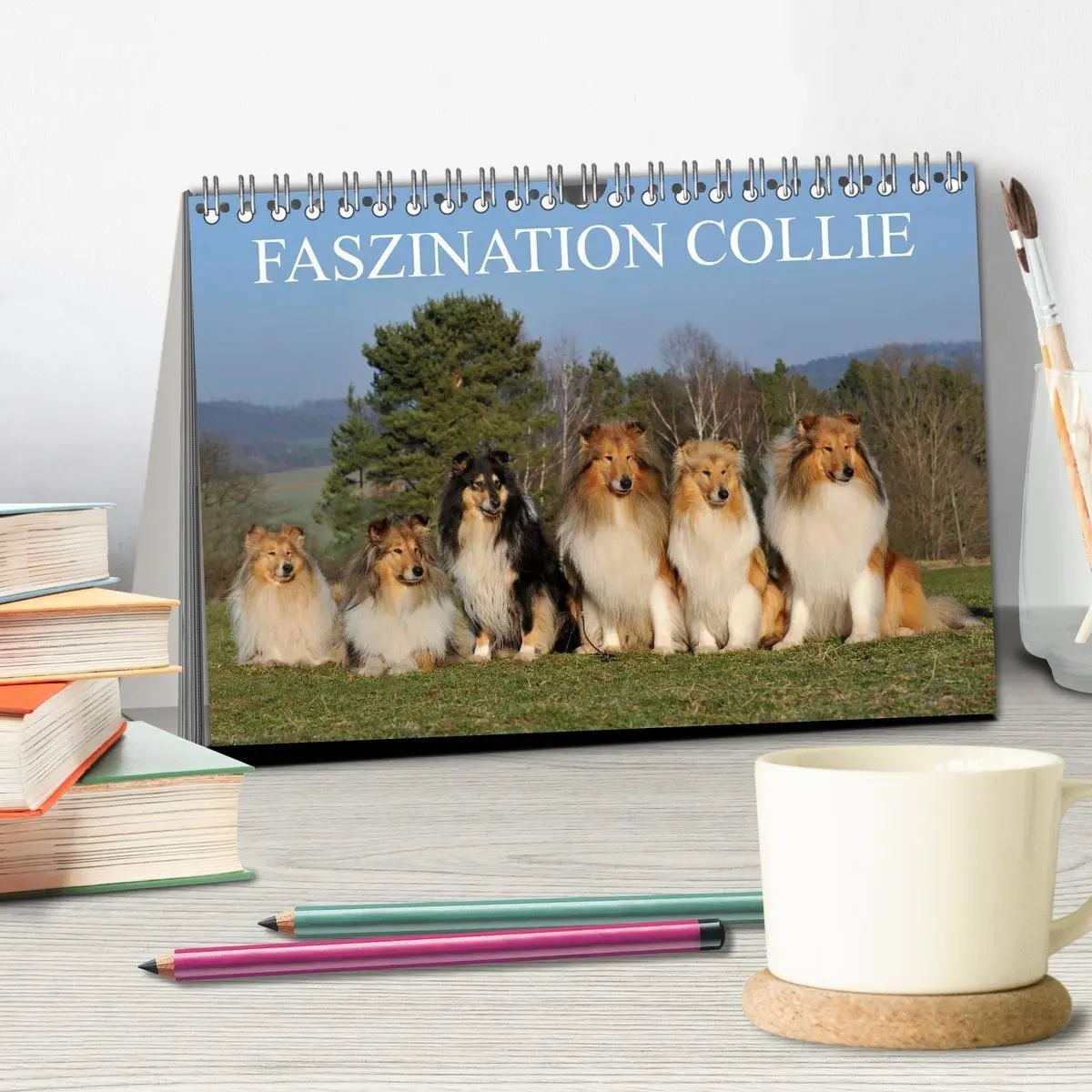Bild: 9783594176108 | Faszination Collie 2027 (Tischkalender 2027 DIN A5 quer), CALVENDO...