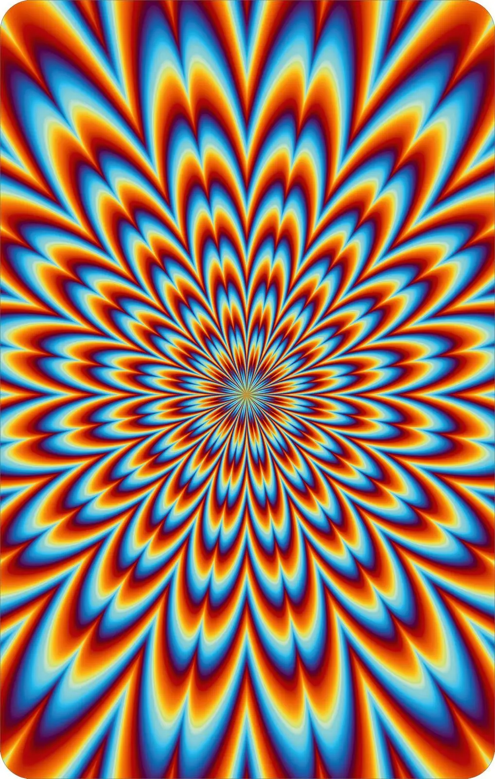 Bild: 9783845866208 | Science &amp; Kids - Optische Täuschungen | 50 Karten | Timo Schumacher