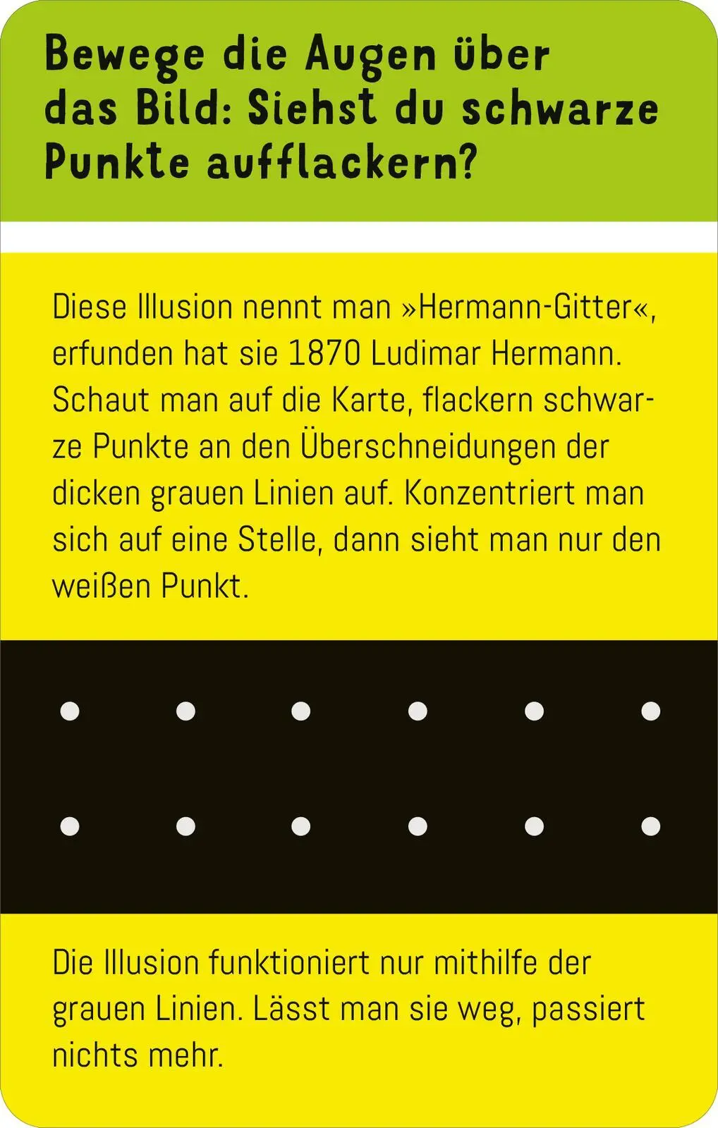 Bild: 9783845866208 | Science &amp; Kids - Optische Täuschungen | 50 Karten | Timo Schumacher