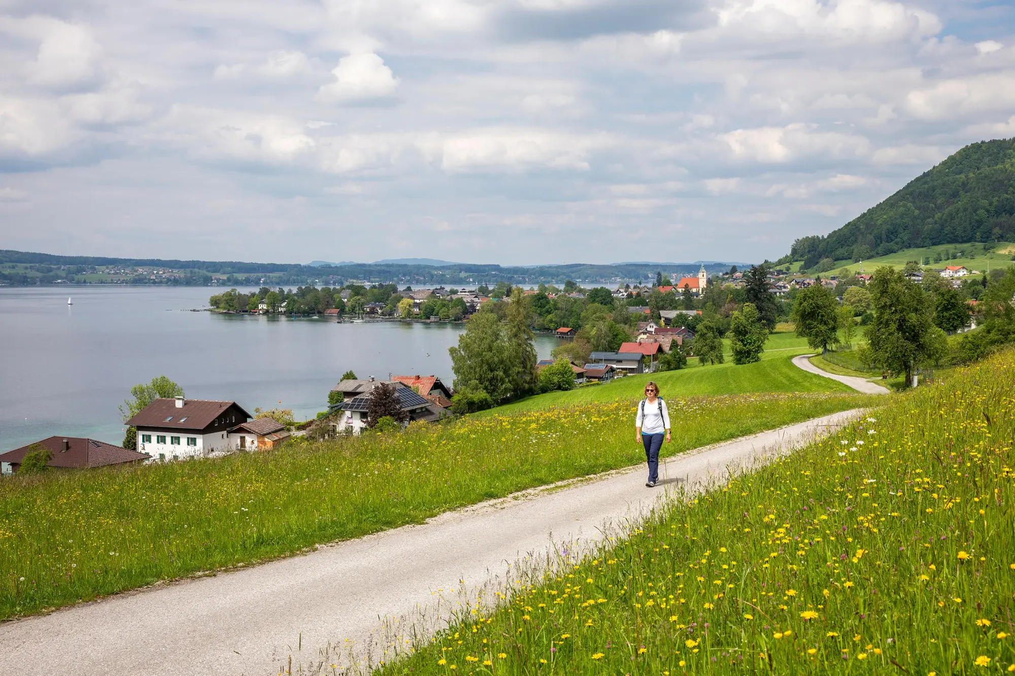 Rückseite: 9783950566208 | Hausruckviertel Aktiv | Wandern - Entdecken - Genießen | Mühlleitner