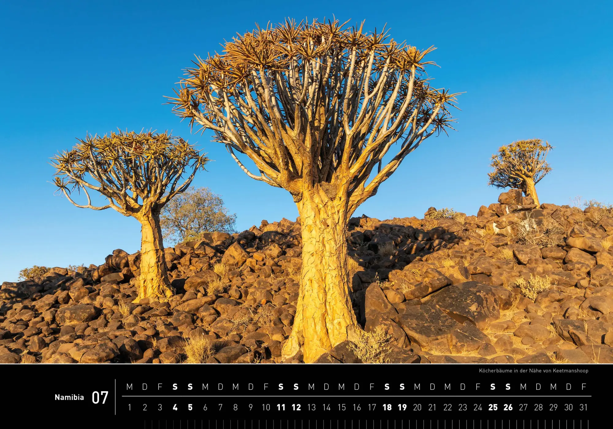 Bild: 9783968556208 | Namibia Premiumkalender 2026 | Thomas Dreßler | Kalender | 14 S.