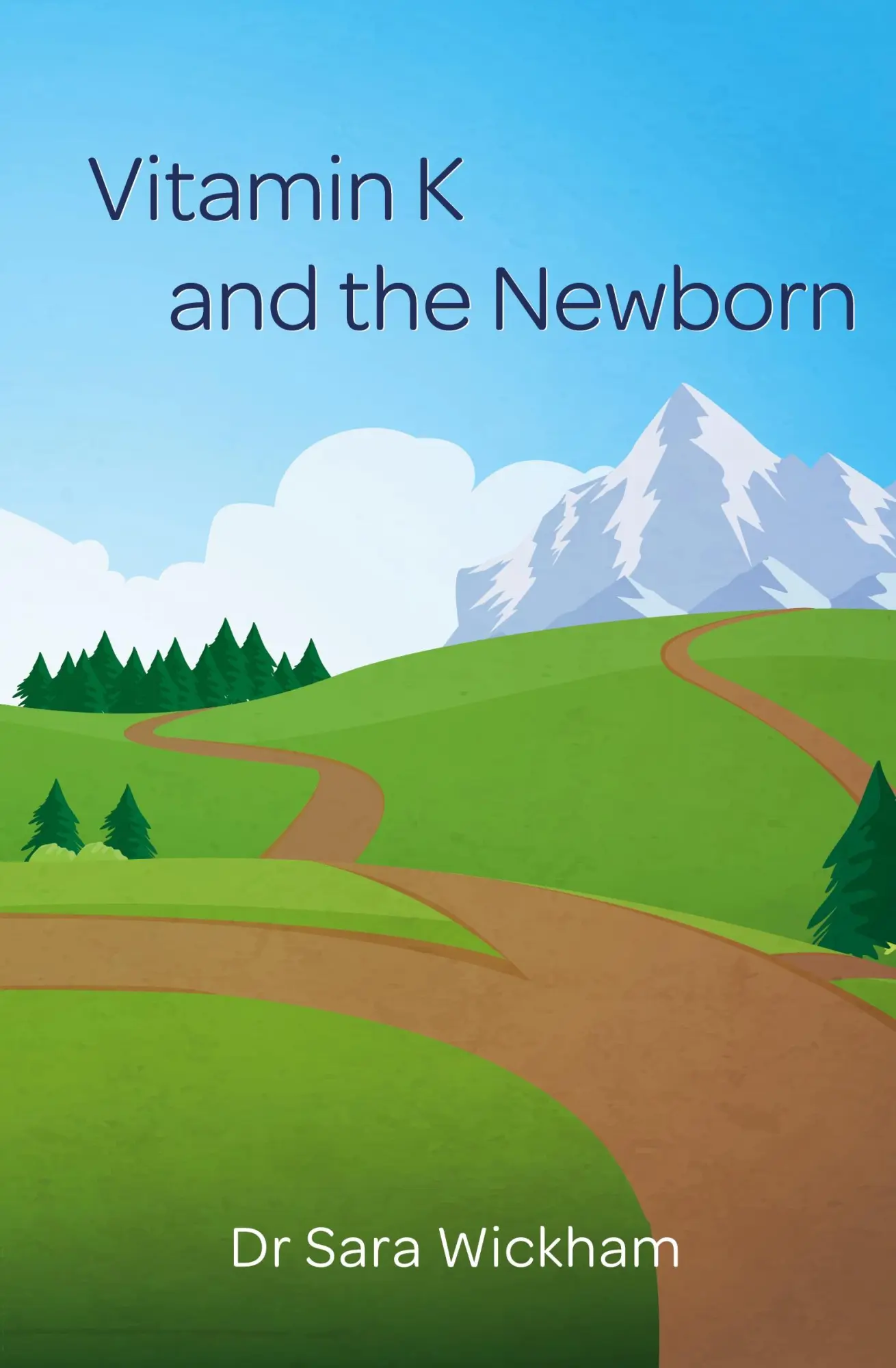Cover: 9781999806408 | Vitamin K and the Newborn | Sara Wickham | Taschenbuch | Englisch