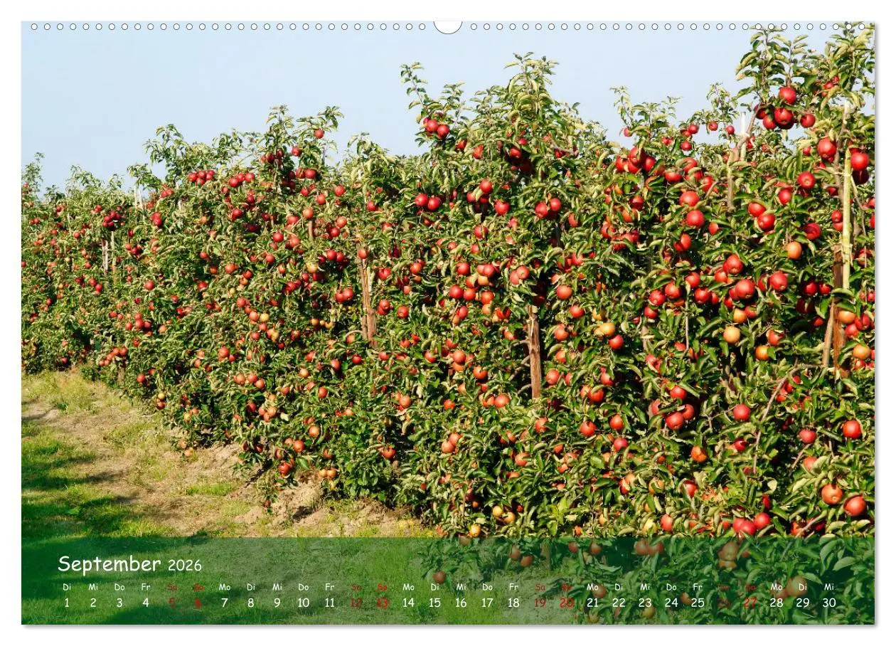 Bild: 9783457386408 | Altes Land im Wechsel der Jahreszeiten (hochwertiger Premium...