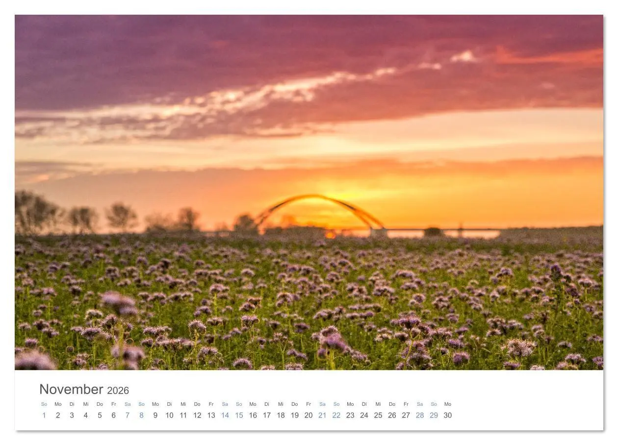 Bild: 9783516616408 | Die Sonneninsel Fehmarn (Wandkalender 2026 DIN A2 quer), CALVENDO...