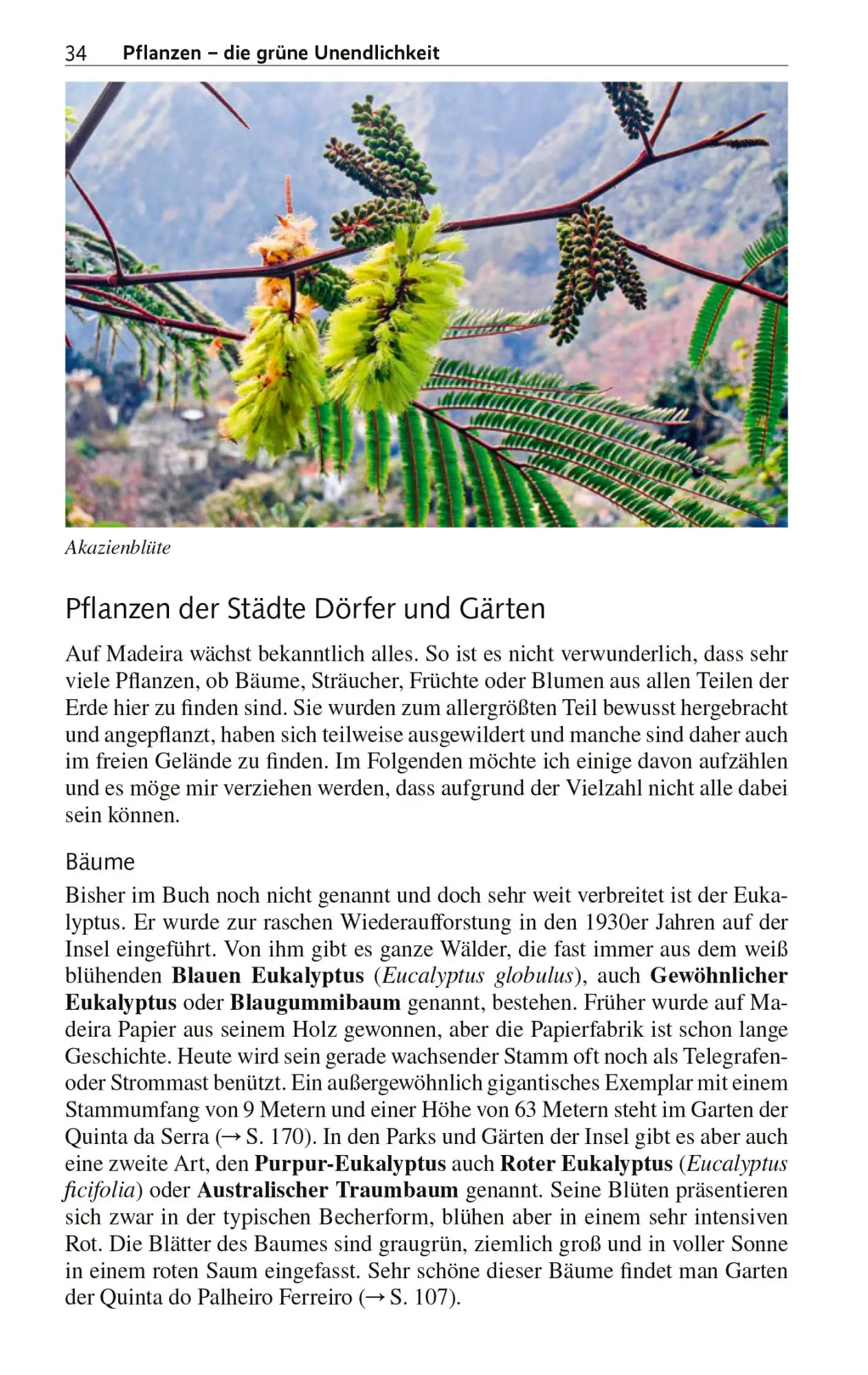 Bild: 9783897946408 | TRESCHER REISEFÜHRER Madeira und Porto Santo | Ray Hartung | Buch