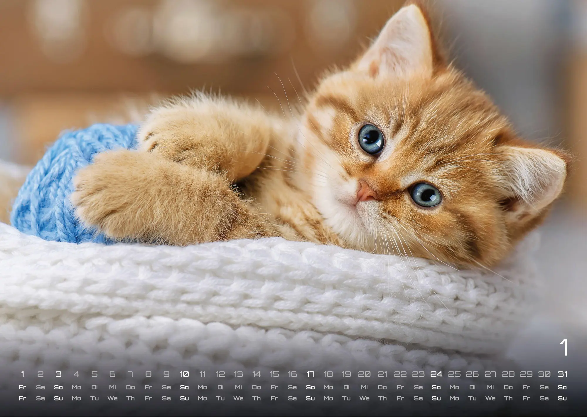 Bild: 9783986736408 | Miau Kids - kleine Tiger ganz groß - Der Katzenkalender - 2027 -...
