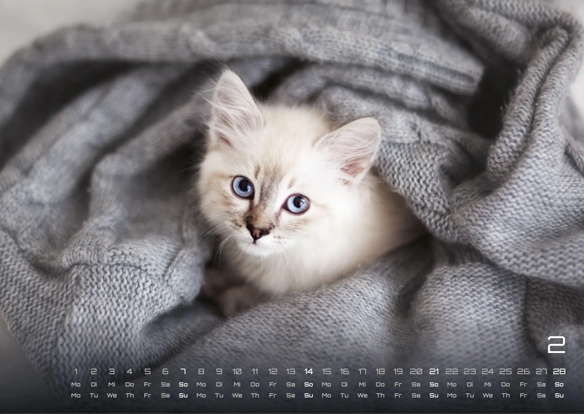 Bild: 9783986736408 | Miau Kids - kleine Tiger ganz groß - Der Katzenkalender - 2027 -...