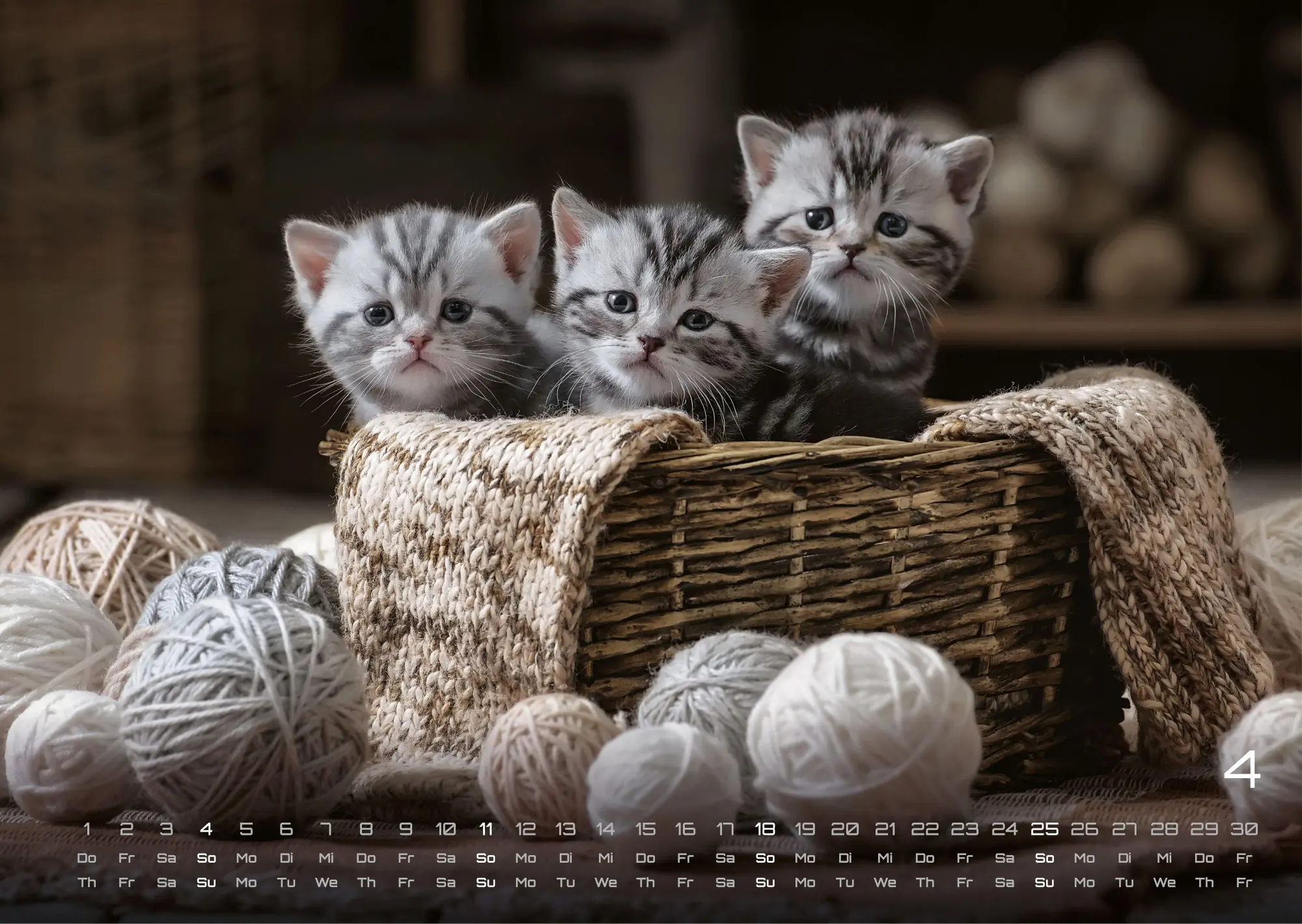 Bild: 9783986736408 | Miau Kids - kleine Tiger ganz groß - Der Katzenkalender - 2027 -...