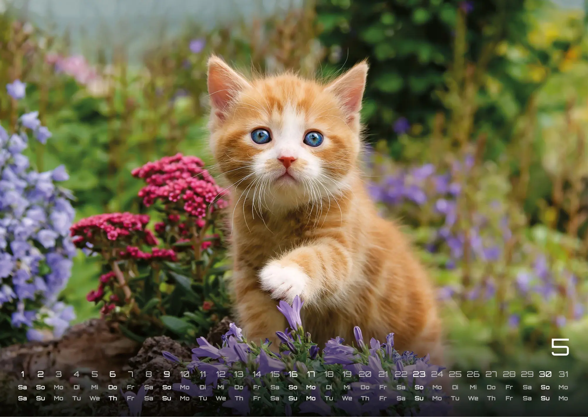 Bild: 9783986736408 | Miau Kids - kleine Tiger ganz groß - Der Katzenkalender - 2027 -...